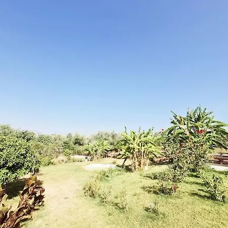 Apartamento Leceleste *