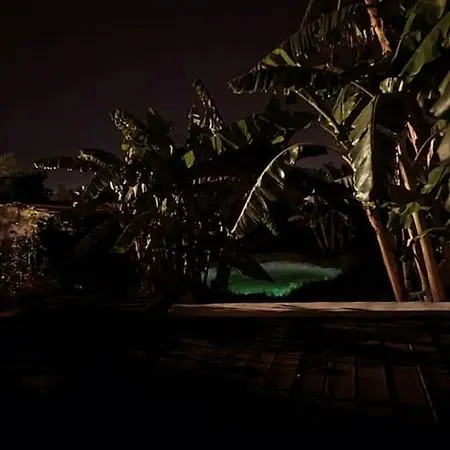 Leceleste Lithakia (Zakynthos)