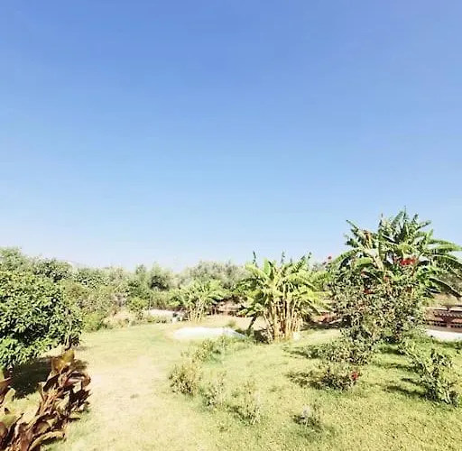Apartamento Leceleste *