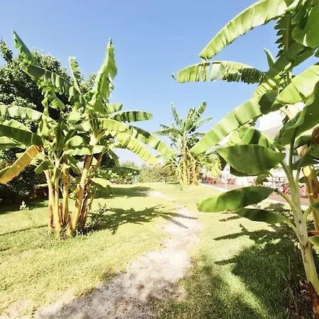 Leceleste * Lithakia (Zakynthos)