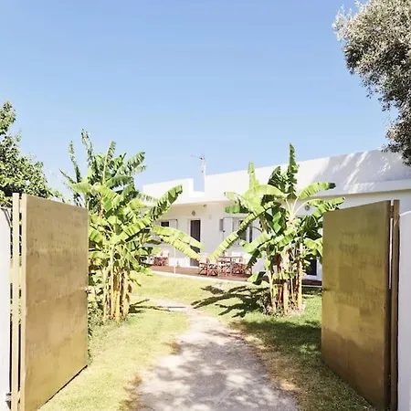 Lecéleste * Lithakia (Zakynthos)