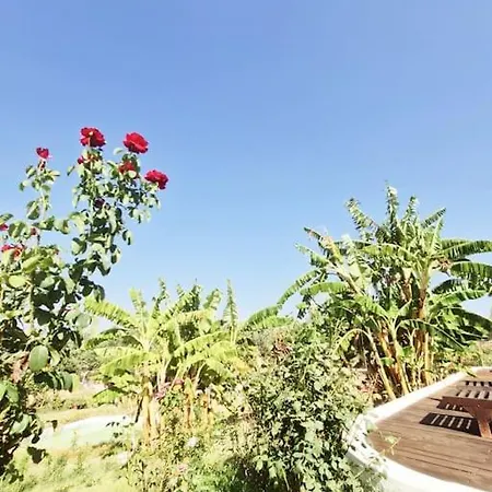 Lecéleste Appartement *