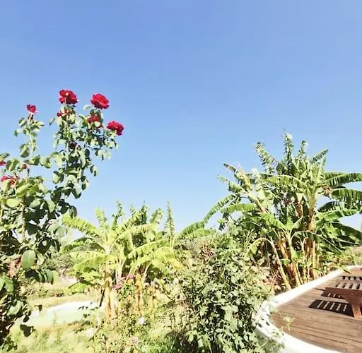 Leceleste Appartement *